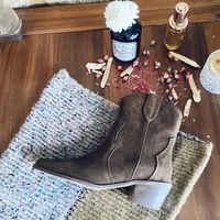 Womens Chelsea Boots for Spring Autumn Cow Suede Pointy Toe Chunky Heel Stitched Ankle Boots Winter Shoes Woman Western Botas - Image 2