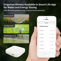 TNCE Smart Tuya Bluetooth Garden Water Timers  Rain Delay Programmable Automatic Sprinkler Drip Irrigation Valve Support Alexa 5