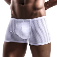 Boxer en maille pour hommes, pochette de soutien totale, confortable, rafraîchissant, évacuant l'humidité, sous-vêtements respirants, ceinture élastique 2