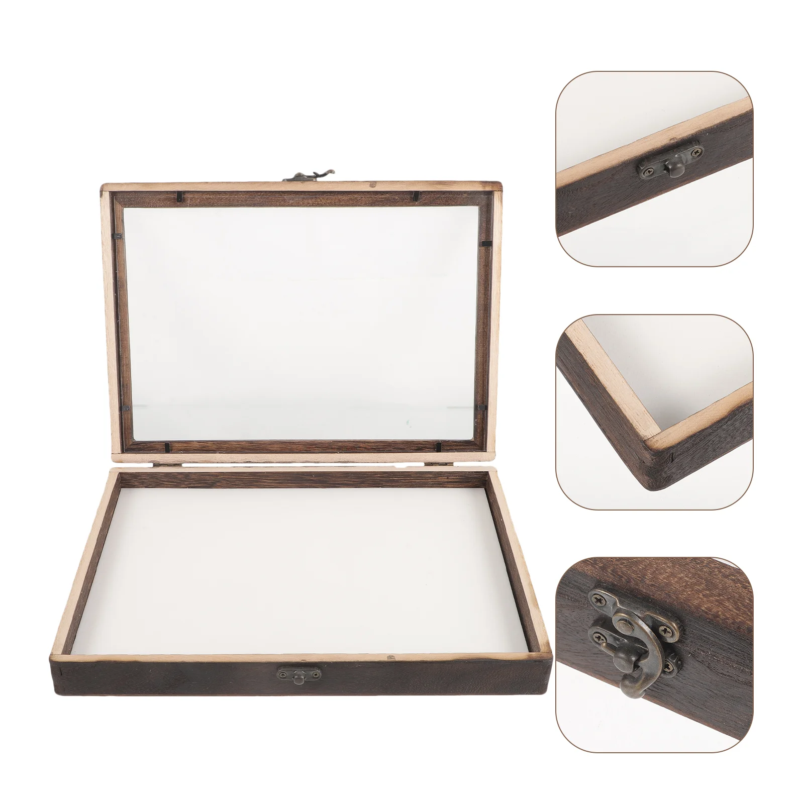 

of Insect Display Case Wooden Bug Collection Box Insect Display Box Wall Clear Window Insect Box Specimen Box Cushion