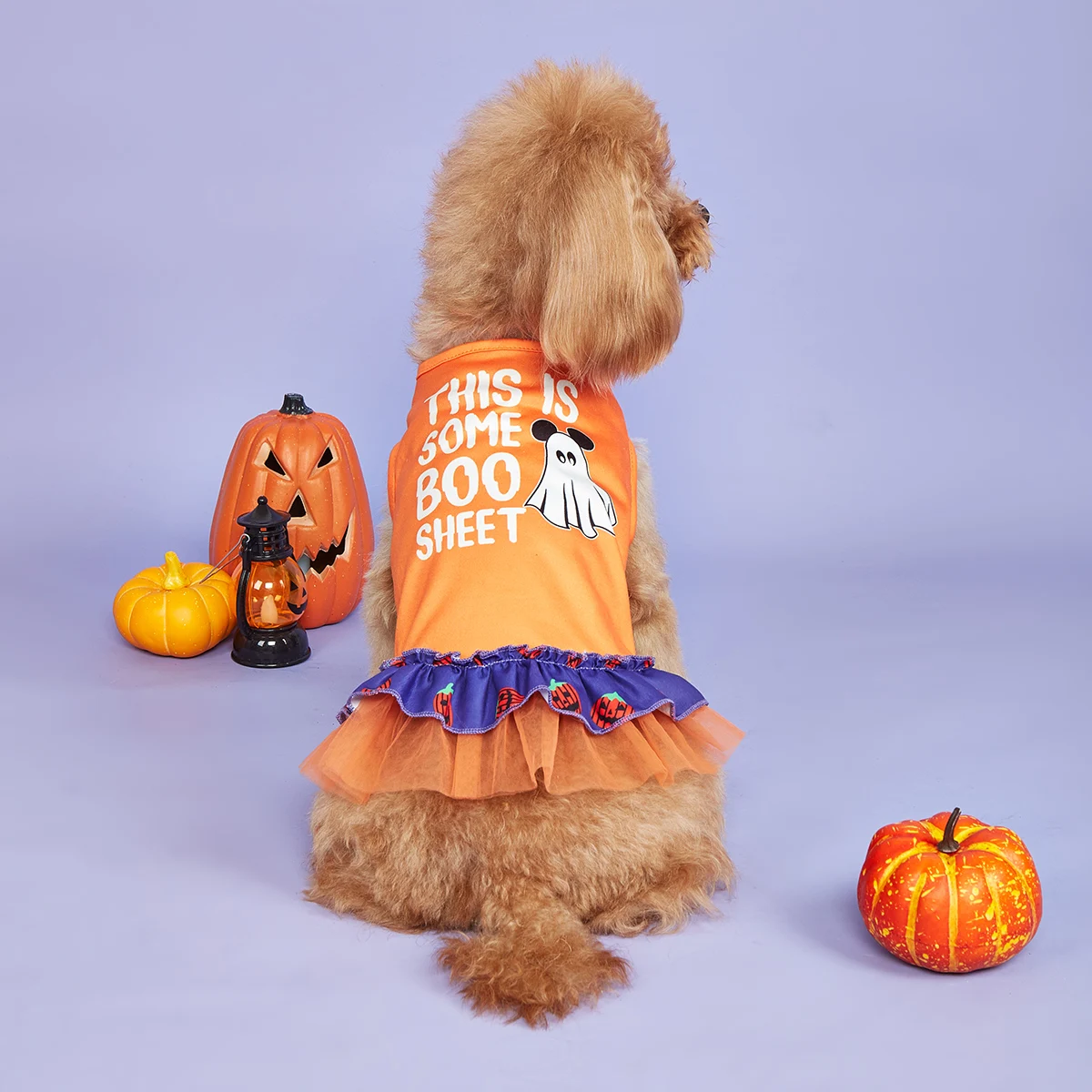 Halloween Puppy Dresses Dog Dress for Small Dogs Costume Pumpkin and Ghost Printed Puppy Clothes with Ruffle Tulle Doggie Party
