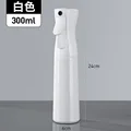 B 300ml