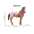Appaloosa 1