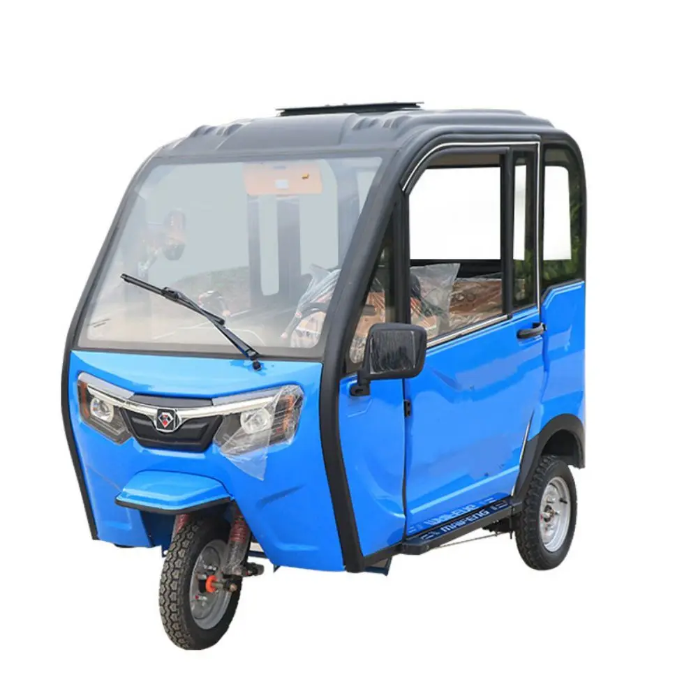 

650w enclosed three wheel electric vehicle OEM new energy car city travel commute carry passenger electric tricycle for elderly