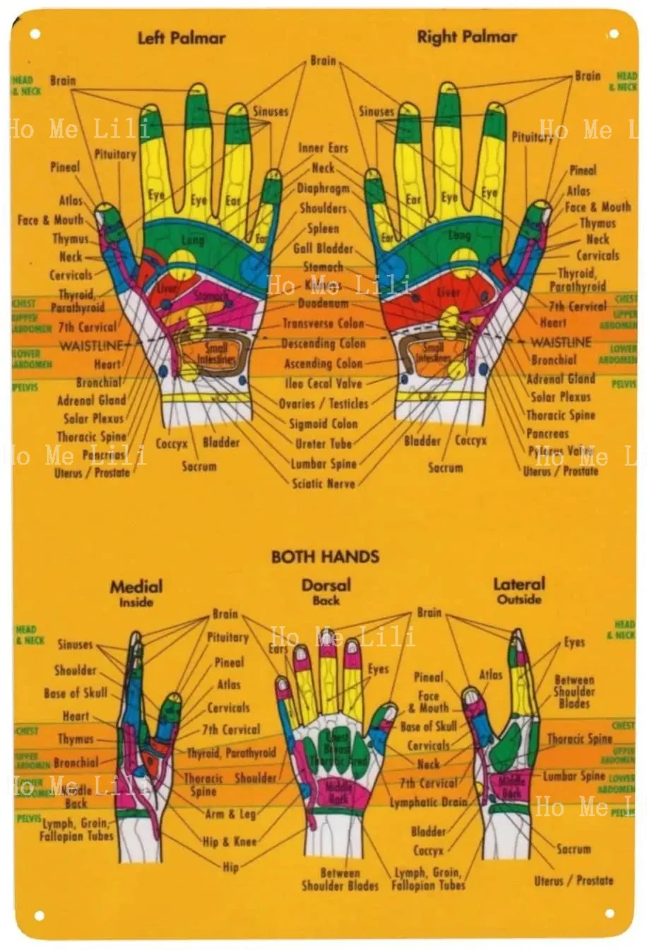 hand-foot-reflexology-chart-vintage-retro-paintings-art-decoration-decormetal-sign-poster-plate-decor-plaque-aliexpress for Free Printable Hand Reflexology Chart Hand Foot Reflexology Chart Vintage Retro Paintings Art Decoration Decormetal Sign Poster Plate Decor Plaque - AliExpress for Free Printable Hand Reflexology Chart