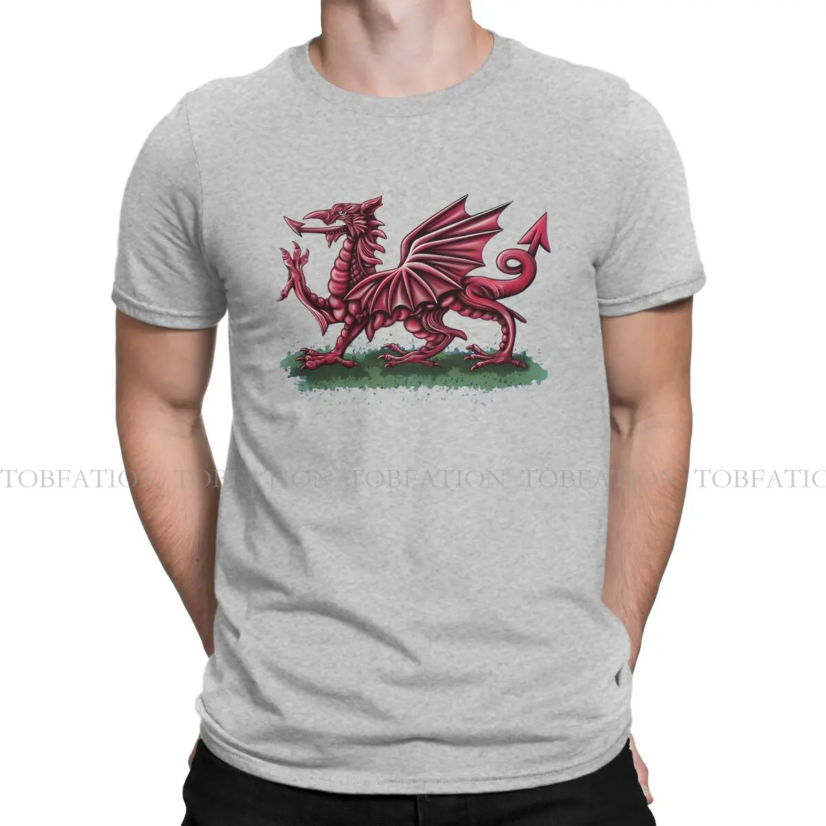

Классическая мужская футболка из чистого хлопка с валлийским флагом дракона