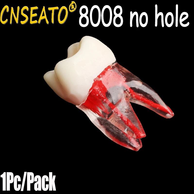 1pcs Dental Endo Training Block Tooth Endodontics Root Canal Model