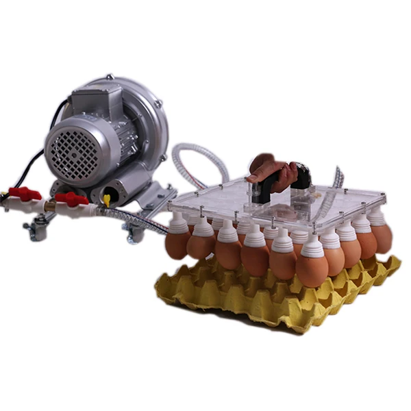 Automatic Incubator Tray Egg Feeding Machine