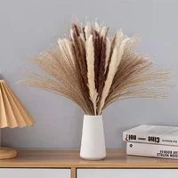 10 Pack Dried Reeds Natural Plants Small Pampas