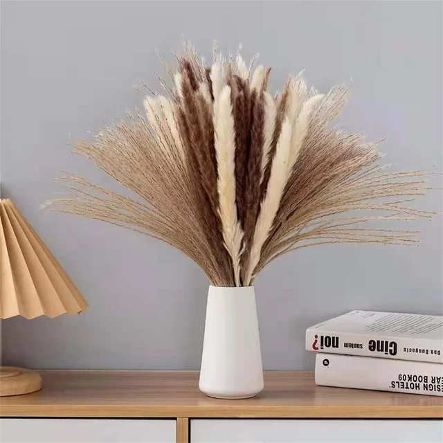 10 Pack Dried Reeds Natural Plants Small Pampas