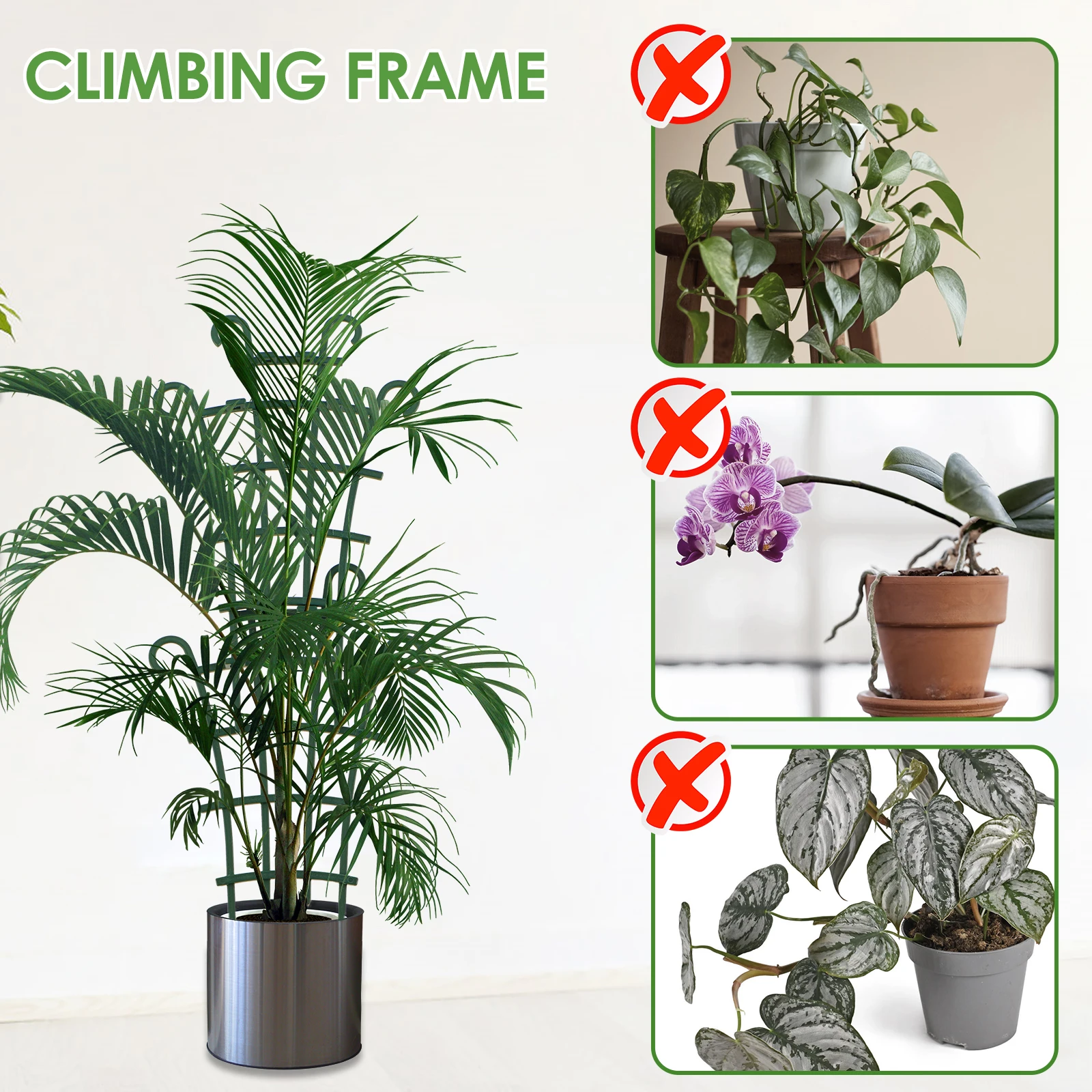 Traliccio Per Piante Rampicanti - 3 Pezzi, In Ferro Antiruggine, Per Vasi E Giardino - Foto 7