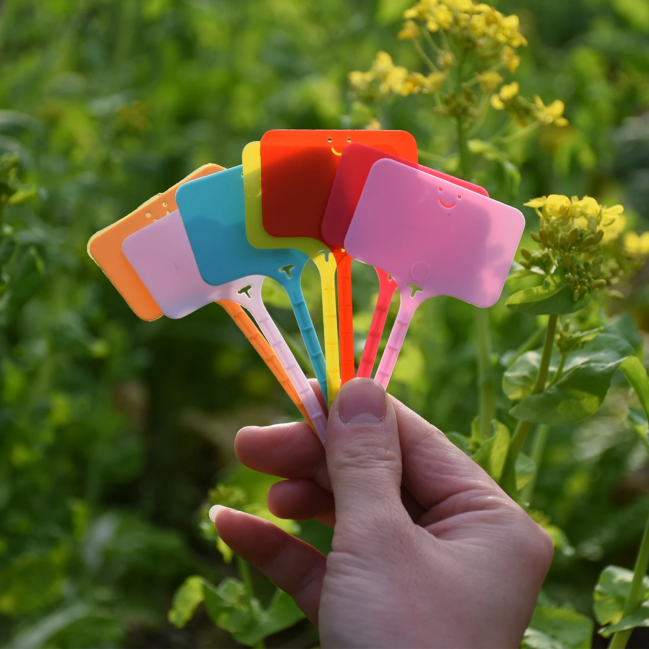 Description Picture 3 of item30-100pcs Garden Re-usable Plant Markers Labels Plastic T-type Sign Tags Record Plate Waterproof Flower Vegetables Potted Stakes