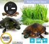 [Funny] Trick electronic pet RC simulation sound & light Tortoise robot model prank toy remote control smart animal kids gift 1