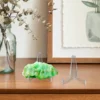 High Grade Acrylic Plate Display Stand Jade Holder Shelf Storage Rack For Dining Room Transparent Small Size Strong Durability 2