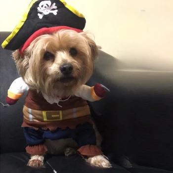 Dog clothes pirate pet dog to suit cat pet clothes cute pet four seasons can wear 5