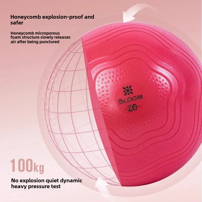Pilates Ball Thickened Explosion-proof Yoga Ball Fitness Equipment with Air Elasticity Shaping Elasticity