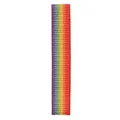 Nylon Rainbow