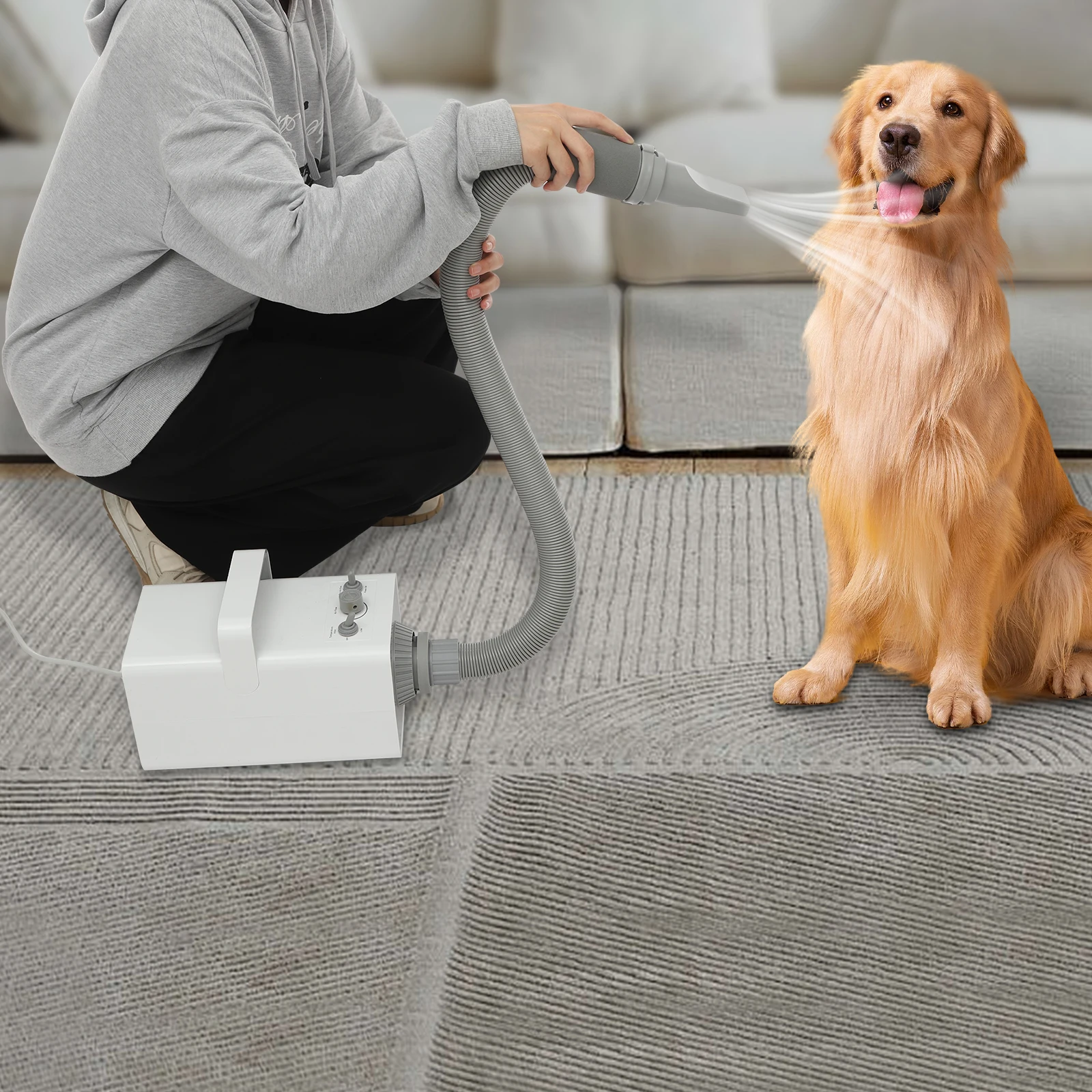 Pet Grooming Dryer Smart Force Dog Blower Dog Pet Dryer