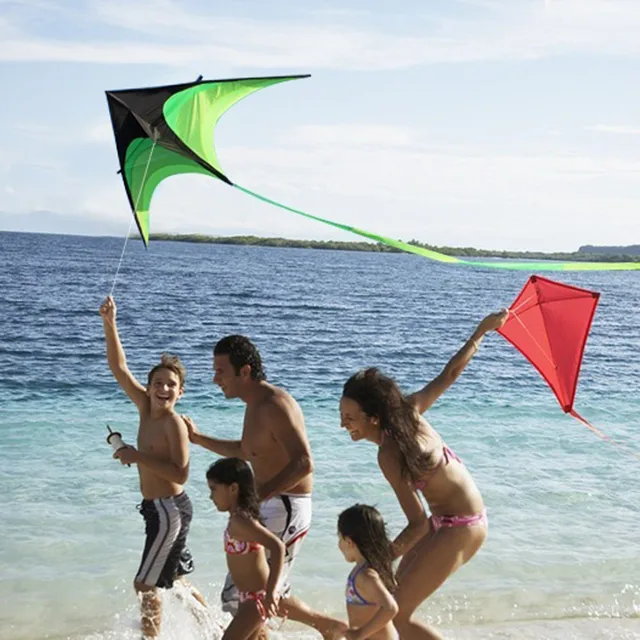160cm High Quality Primary Stunt Kite Kit with Wheel Line Large Delta Kite Tail Outdoor Toy Kites for Kids Adult Sport Toy Gifts 5