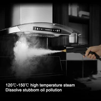 220v 3500w High Pressure Steam Cleaner Commercial Air Conditioning Kitchen Hood Car Steaming Cleaner Used With.jpg
