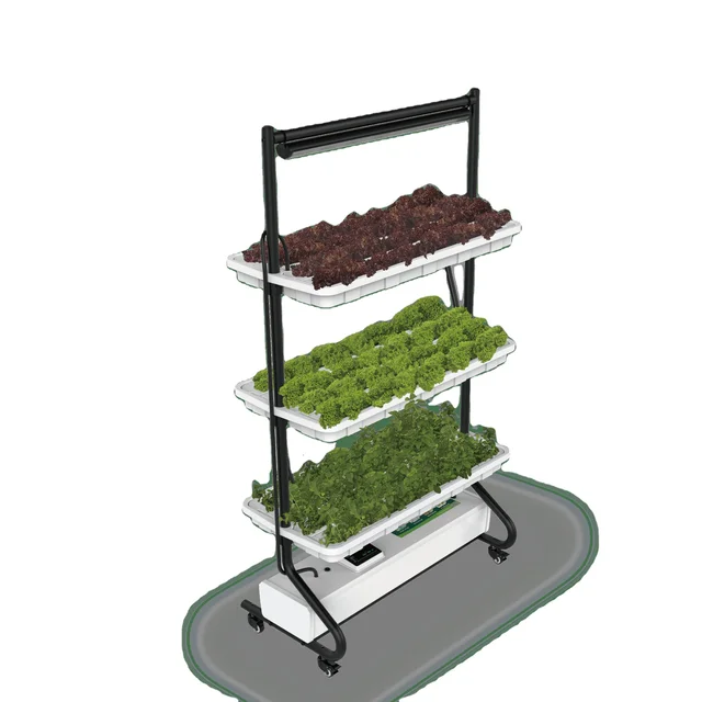 Greenhouse Hydroponic System