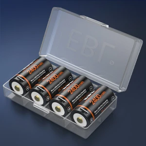 EBL 2 Pack Rechargeable D Batteries 10000mWh 1.5V Long Lasting USB