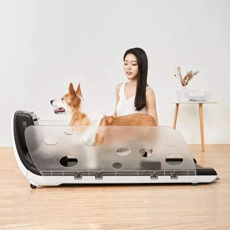 Dog treadmill