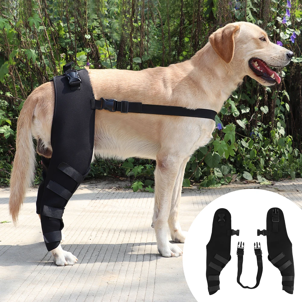 PetPuppyKneePadsDogLegBracesForSmallMediumLargeDogs