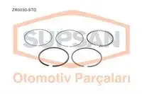 Zr0030-Std Per Segmento Motore R12 R9 1,4 (L42) (Eng. C1J) 59 72Ps Std 1.750 × Segmento Riken / Npr