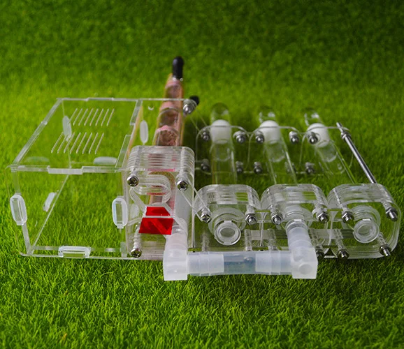 

stem learning connecting glass tube moisturing breeding ant nest,Ant observation bamboo test tube ant farm ant formicarium