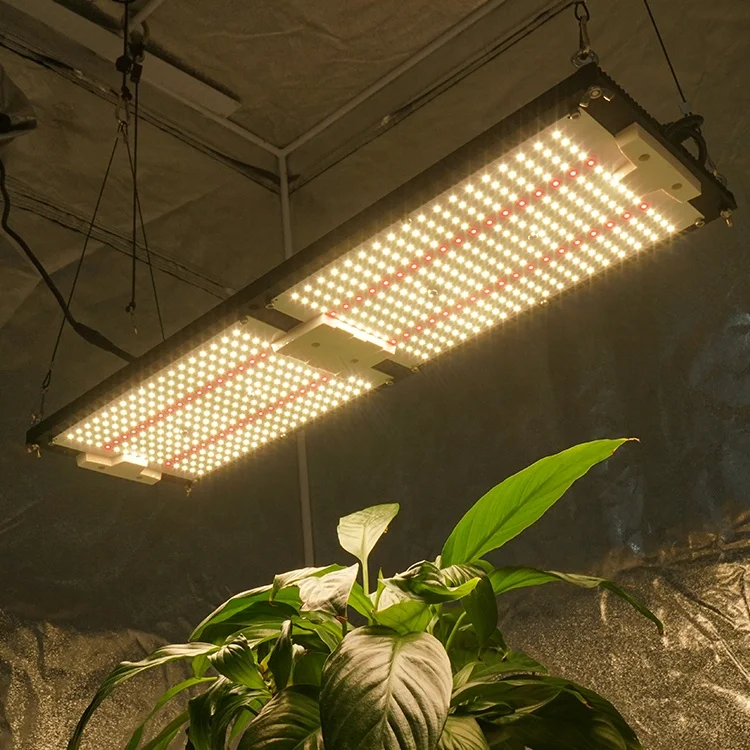 

KingBrite King Brite LED 240W V4 Samsung LM301H Mix Epistar 660nm Full Spectrum Led Grow Lights