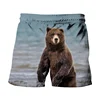 Russia Eagle Emblem Graphic Beach Shorts Men 3D Russian Flag Bear Printed Board Shorts Swimsuit homme 2024 Summer Swim Trunks 4
