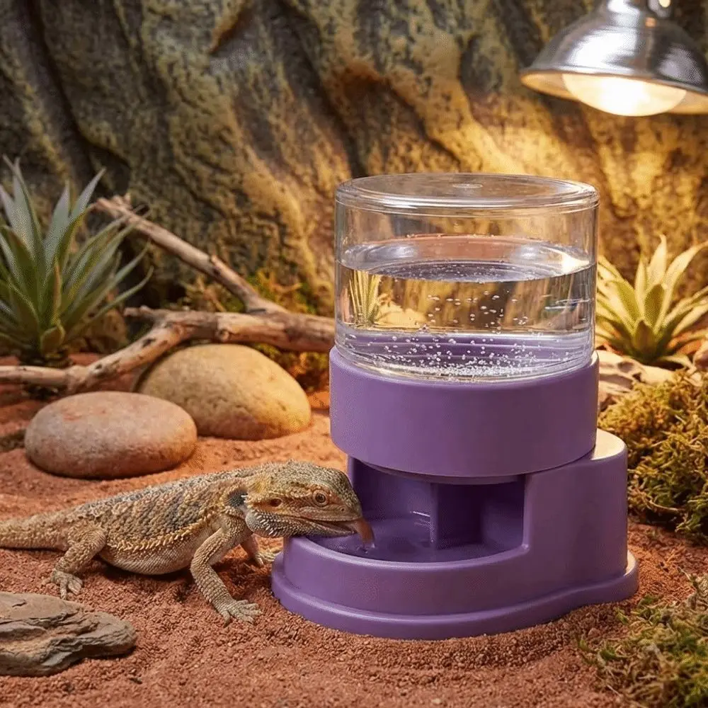 Reptile Automatic Water Dish 1
