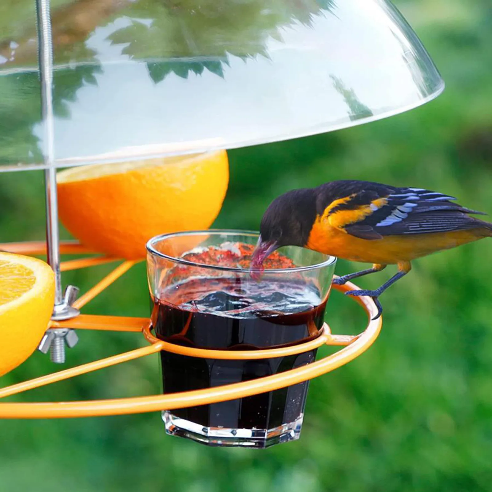 Bird Feeder Anti-Squirrel Bird Feeders Protective Cover Dome Rain Cover Hanging Feeders