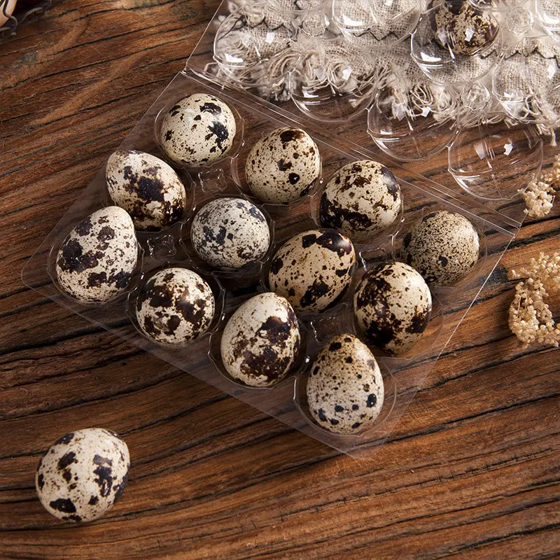 800pcsHouseholdFreshQuailEggBox12CellsPlasticQuailEgg