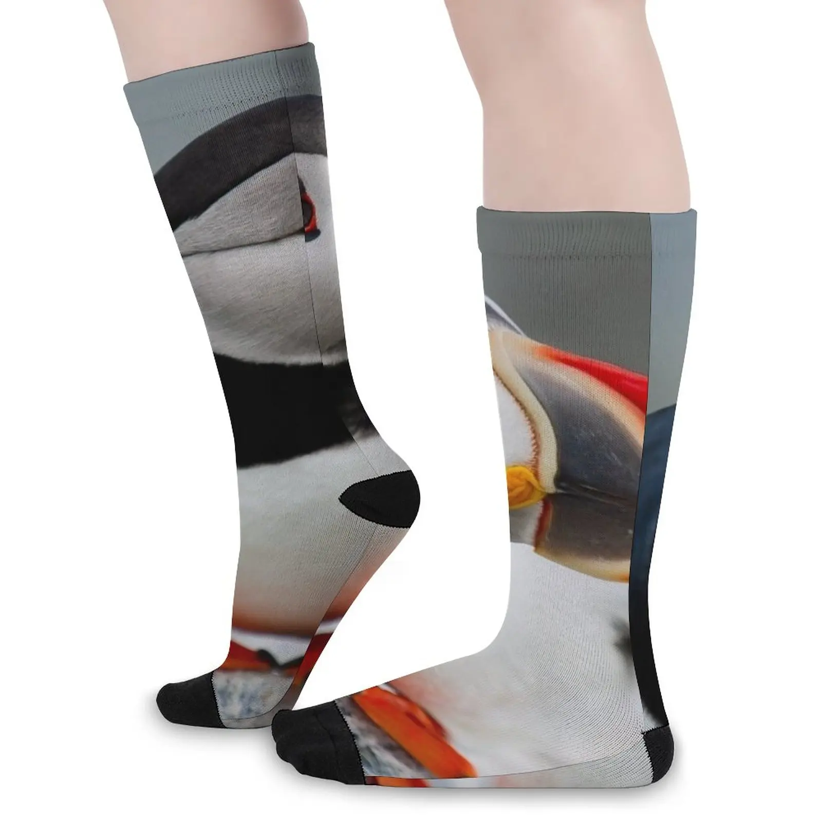 Puffin Socks Men cycling socks funny gift Hiking boots retro