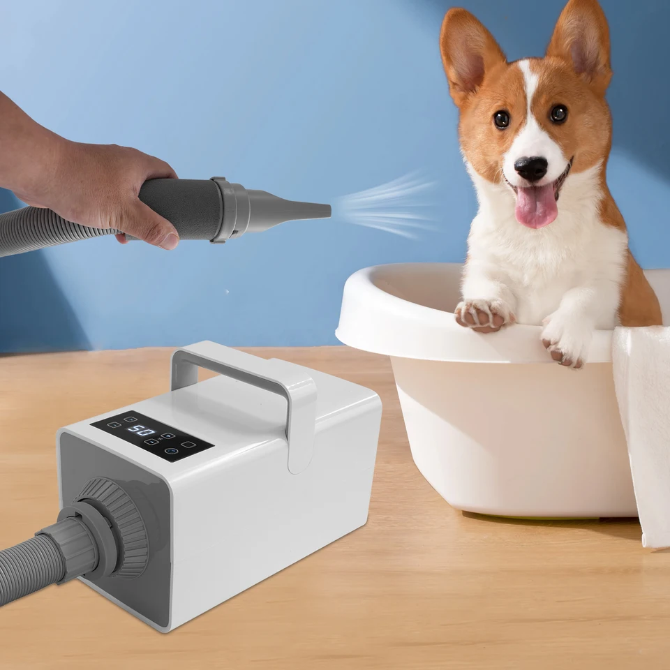 2200W Professional Pet Grooming Hair Dryer