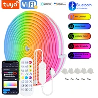 USB RGB Neon LED Strip 1M 2M 3M 5M WiFi 5V RGB Strip Work With Tuya App/Smart Life/Alexa for Game Home Neon Decor Lighting