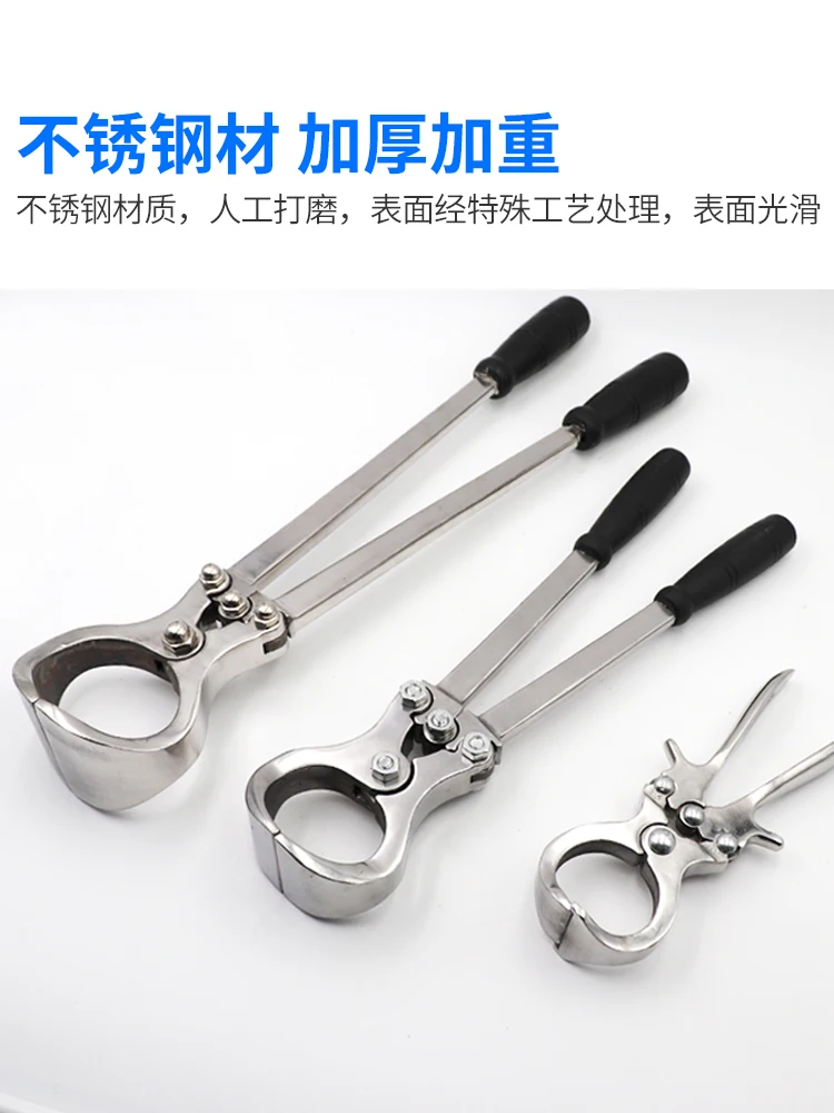 

Pig, Cattle and Sheep Castration Pliers Veterinary Stainless Steel Bloodless Castration Pliers Fan Sheep Clip Ram Egg Pliers