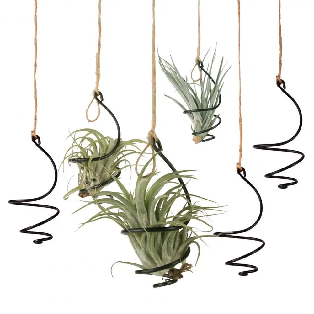 Storage Basket 6 Pcs Air Plant Holder Metal Hanging for Home Office Balcony