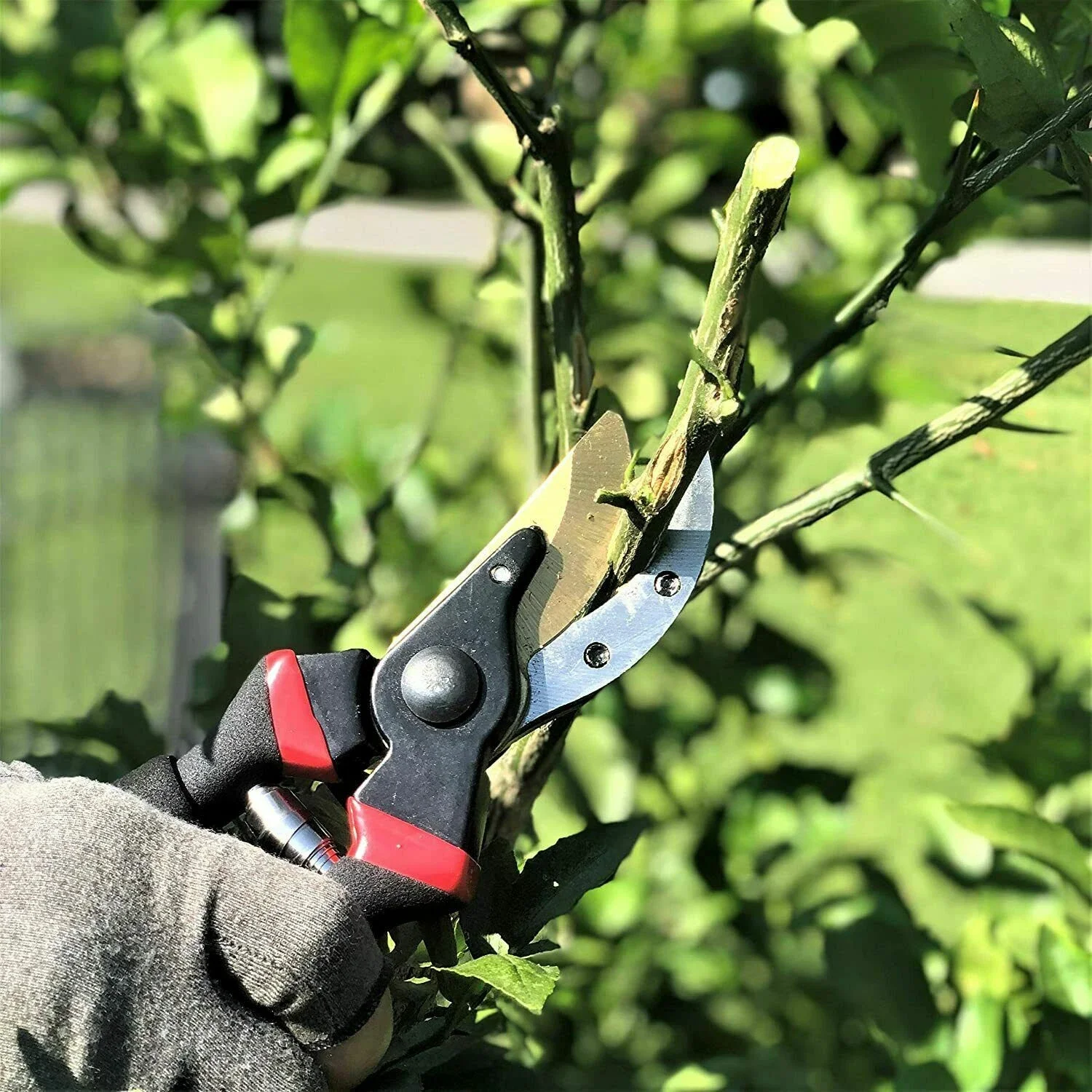 Multifunctional Pruning Shear Professional Garden Scissors Heavy Duty Ultra Sharp Hand Pruners for Gardening Tools