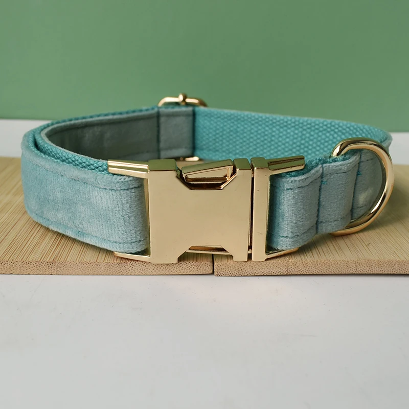 dog collar