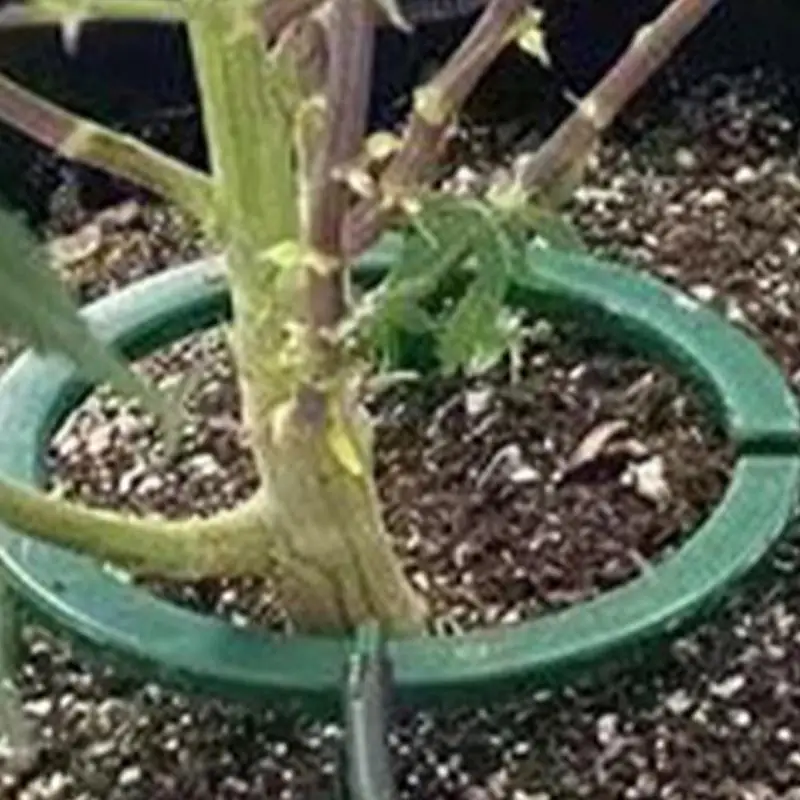 Water Rings For Plants Plant Drip Loop With Support Automatic Drip Irrigation Kits For Grow Media Rain Watering supplies