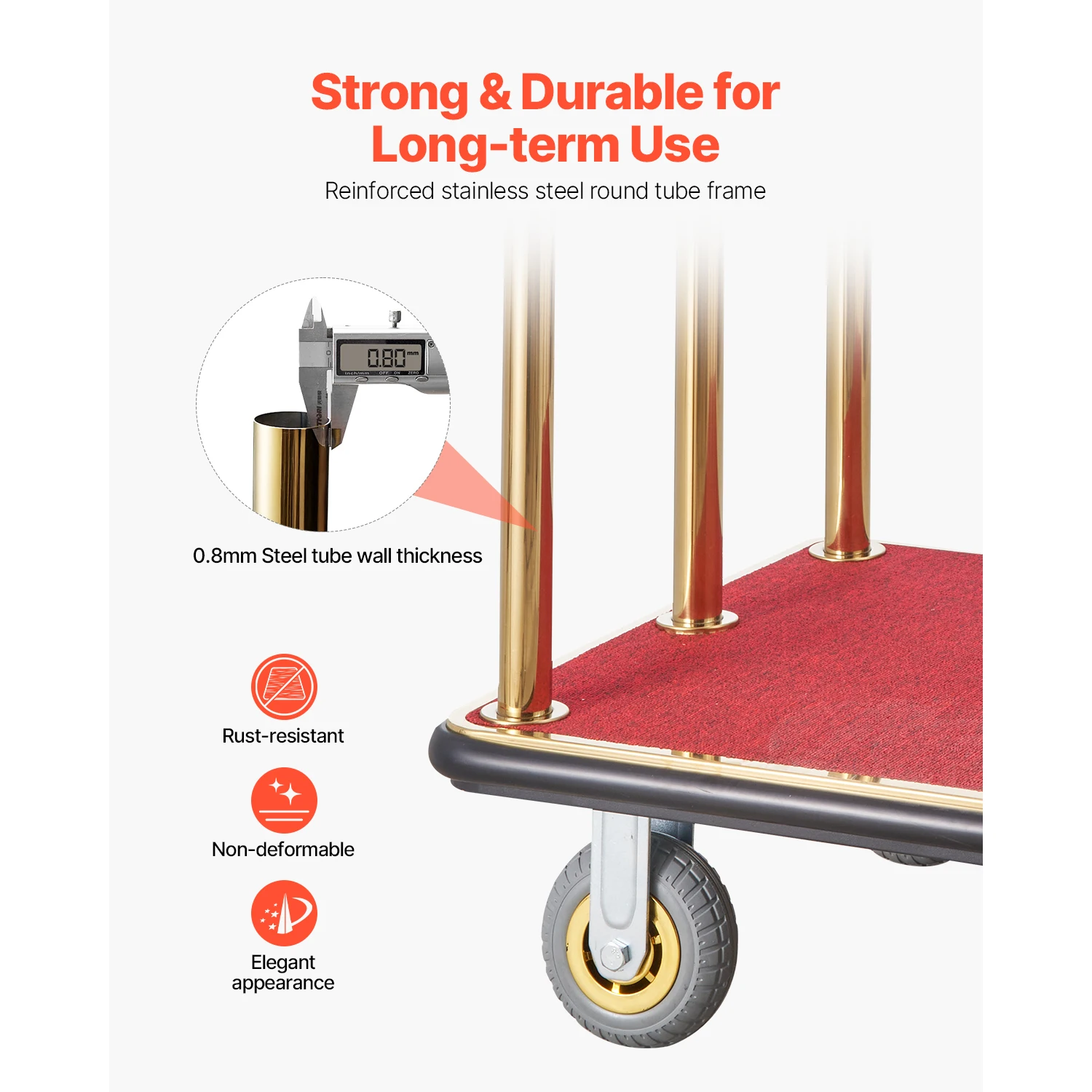 dsc-products