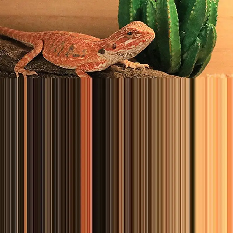 1032687_7