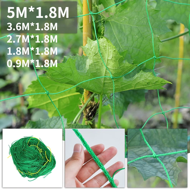 0,9-5 M*1,8 M Nejlon Kert Háló Loofah Reggeli Dicsőség Virágok Szőlő Növények Mászás Nettó Uborka Szőlőnövekedés Tartó Tartók 2022