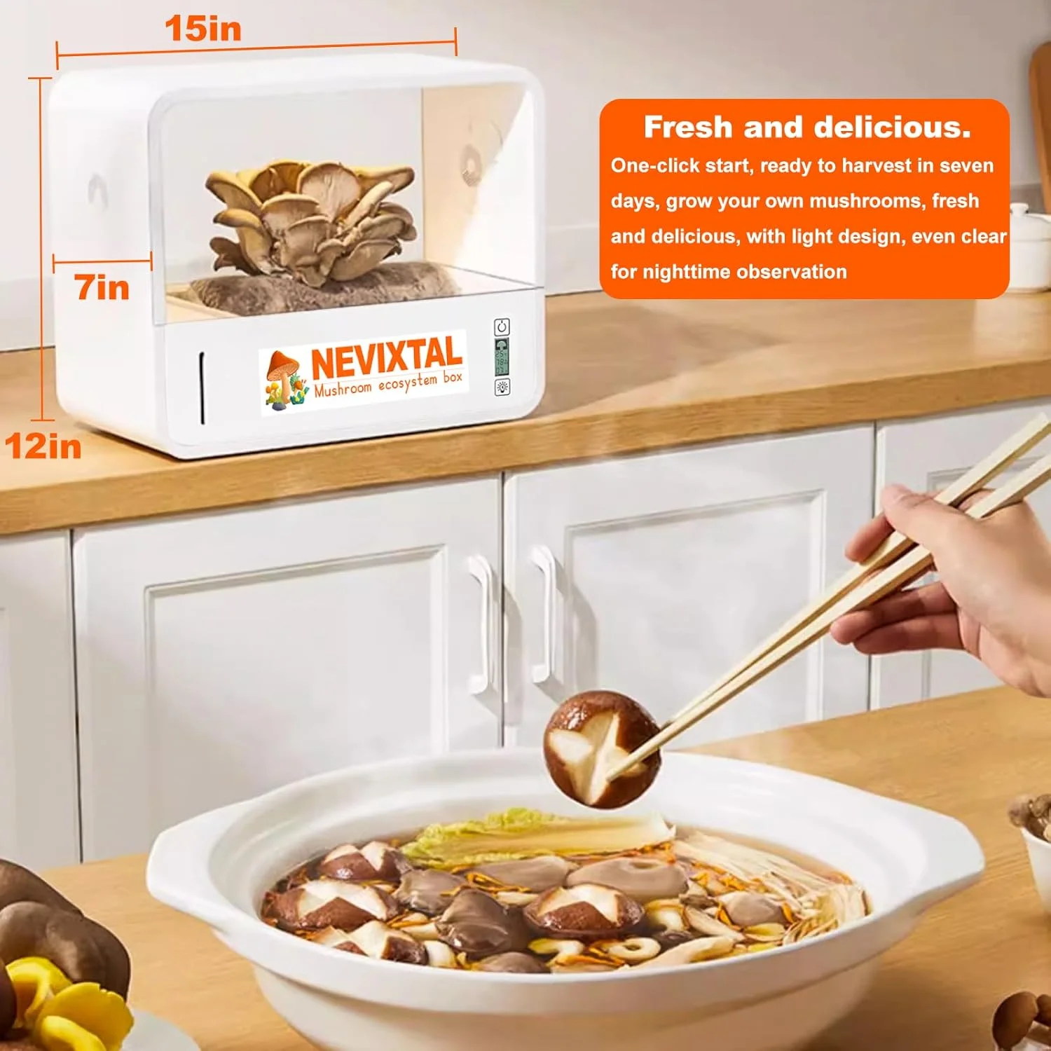 Slide image 4ec66383d91d4fd4a5f6247076f71920