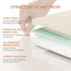 6 Mattress,  Certified Green Tea Memory Foam Mattress in a Box Fiberglass Free, Kids Mattress for Bunk Bed, 38"×75"×6", Beige 3