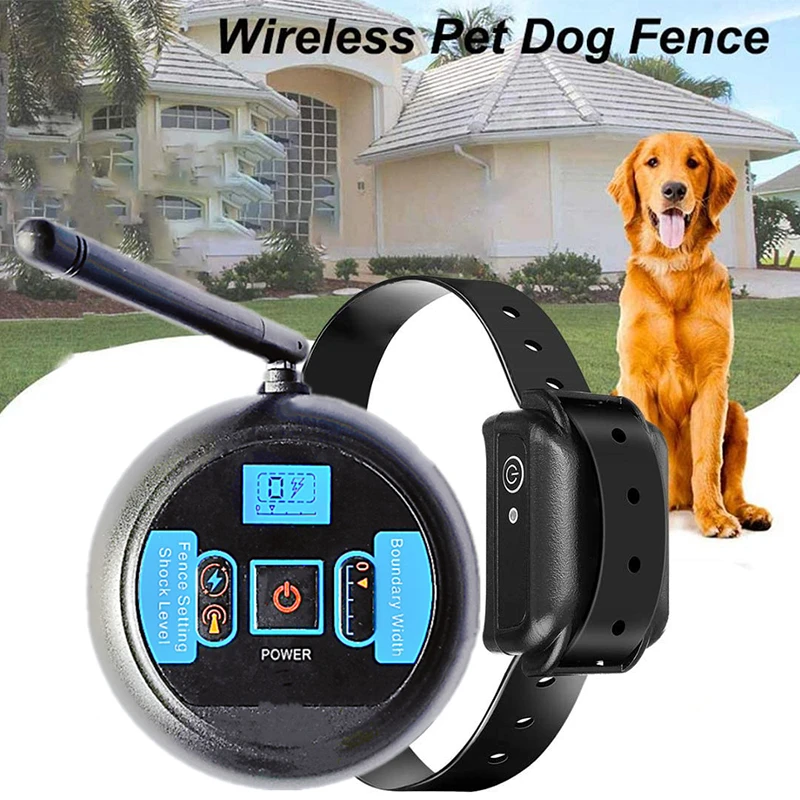 What Is A Wireless Dog Fence