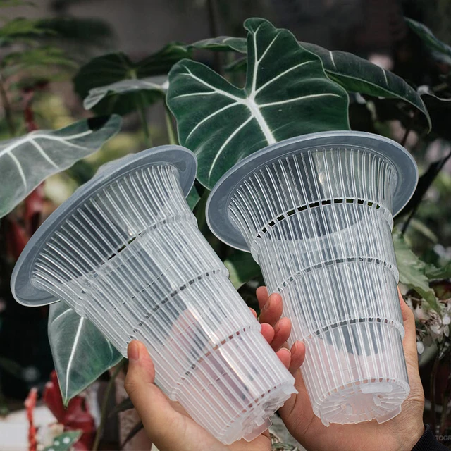 Orchidée Pots en plastique Trous, Pots de plantes d'extérieur Orchidées